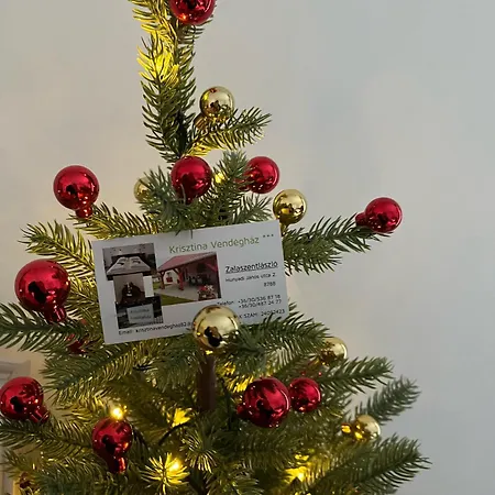 Krisztina Vendeghaz 度假居 *